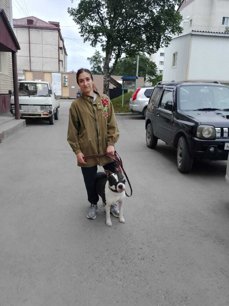 ���������� ��������, ���� ������� ������, 34 ����, ������������ ��� ���������