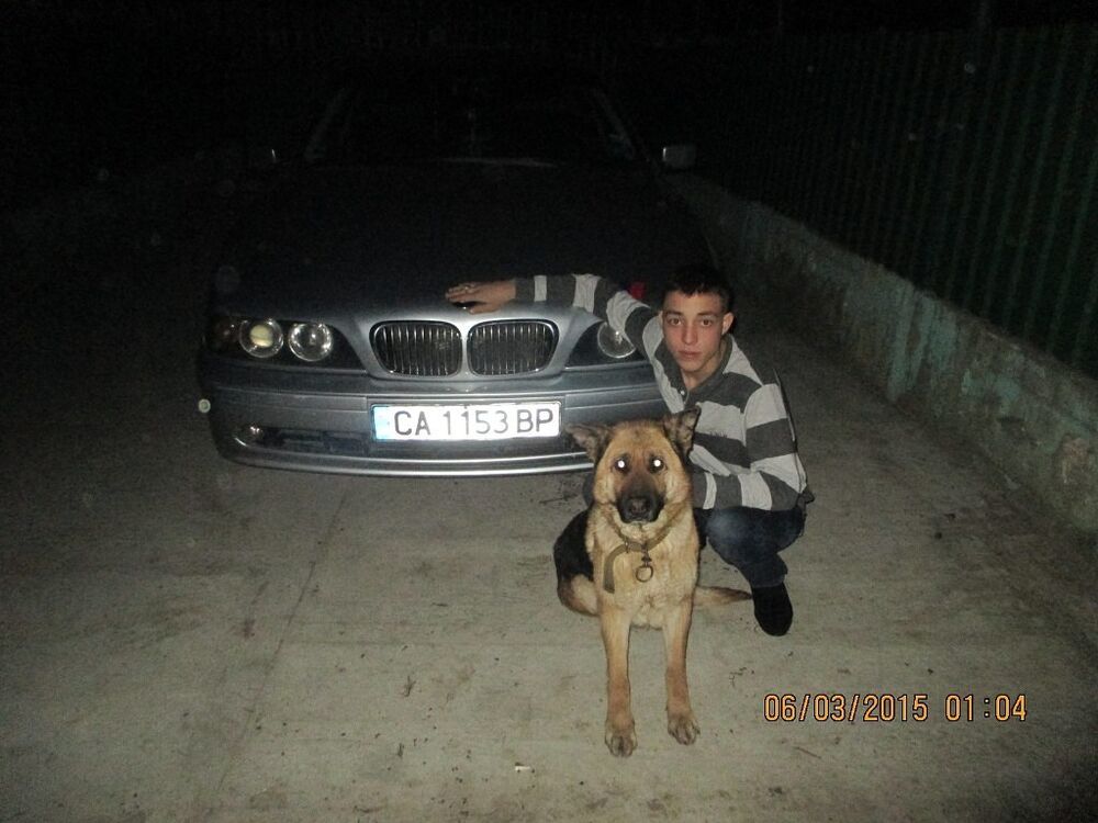  9707666  , 29 ,    -