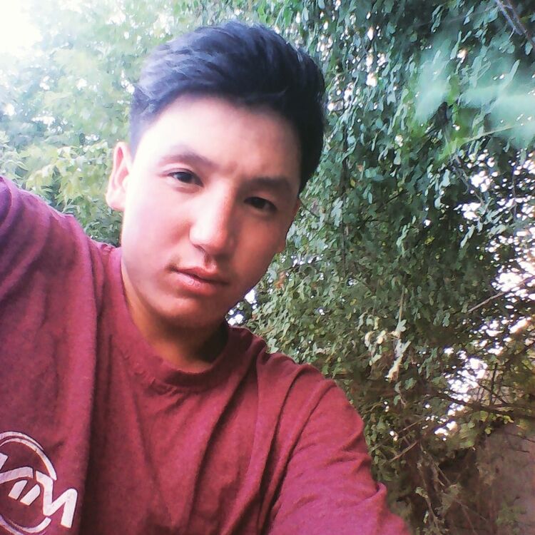  16756036  , 30 ,    