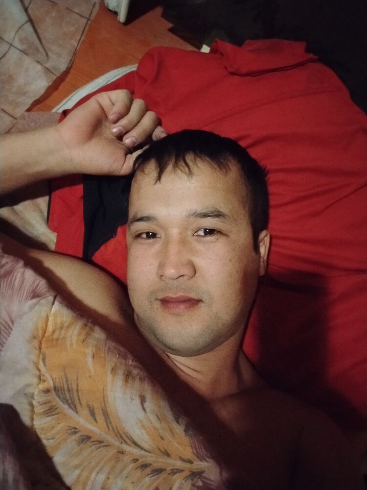  45964046  , 31 ,    