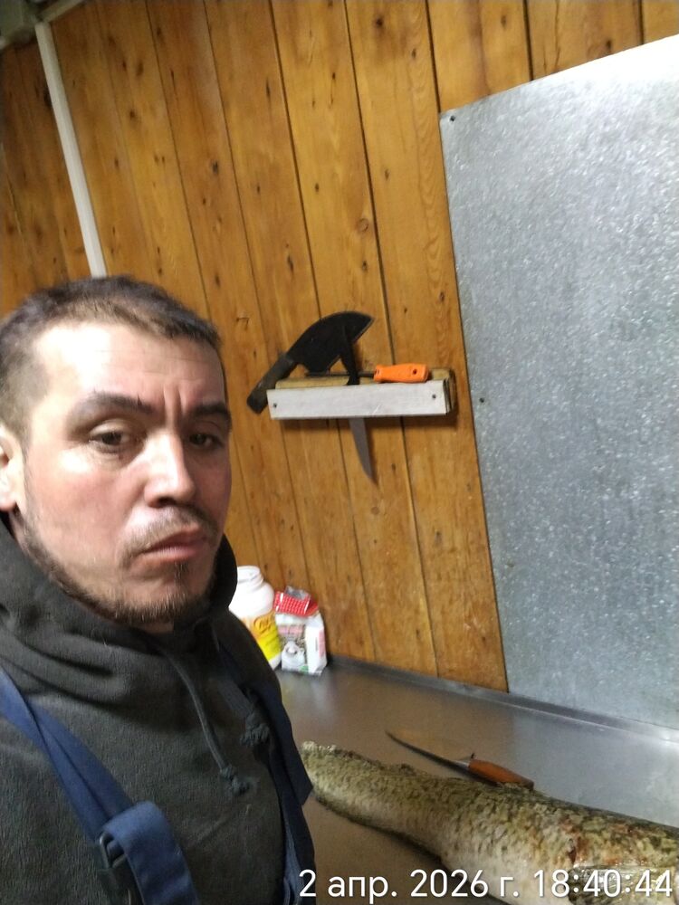 ���� 56275336 ������� �����, 38 ���, ���� ���������� � �������