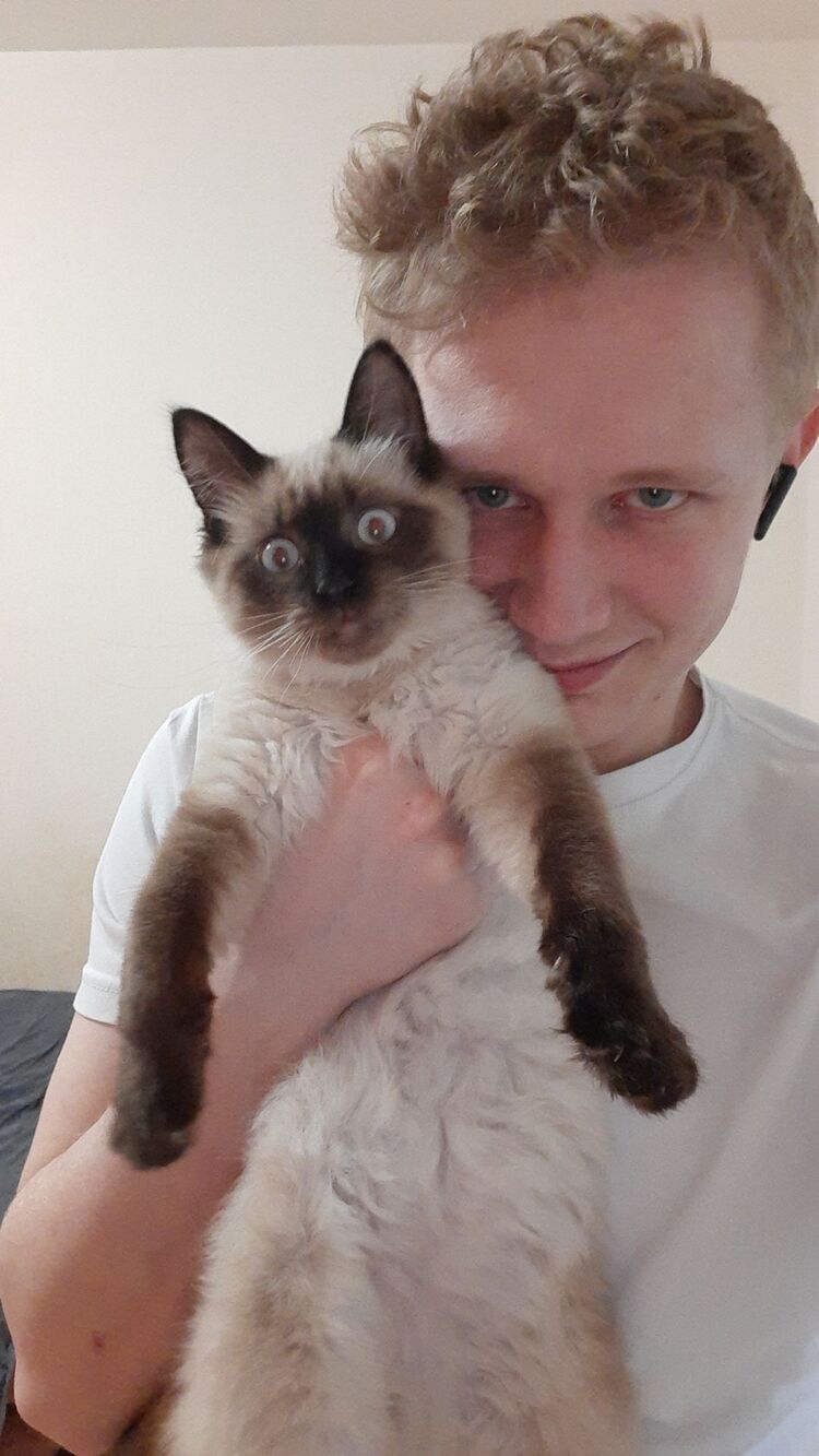 ���� 33307186 ������� ����, 27 ���, ���� ���������� � ������ ���������