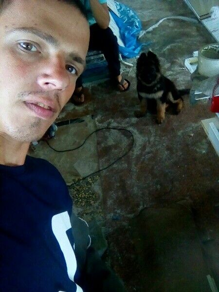 ���� 26044636 ������� ��������, 29 ���, ���� ���������� � ������