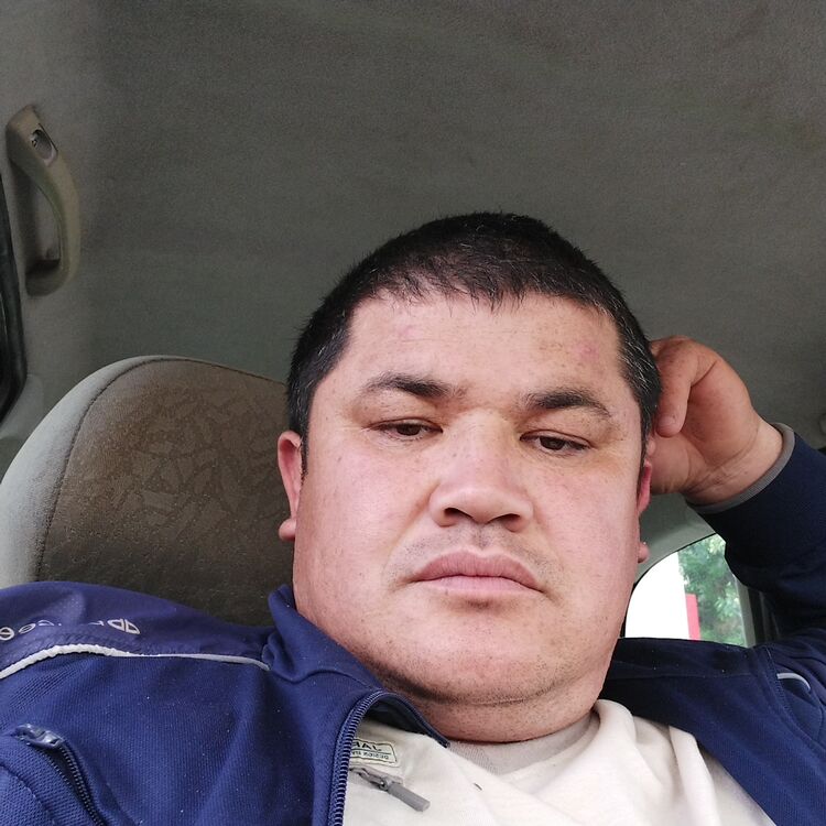 ���������� ��������, ���� ������� �������, 38 ���, ������������ ��� ������, ����� � ���������