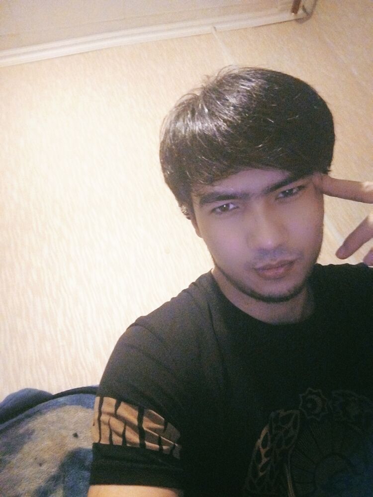  34055536  , 26 ,    