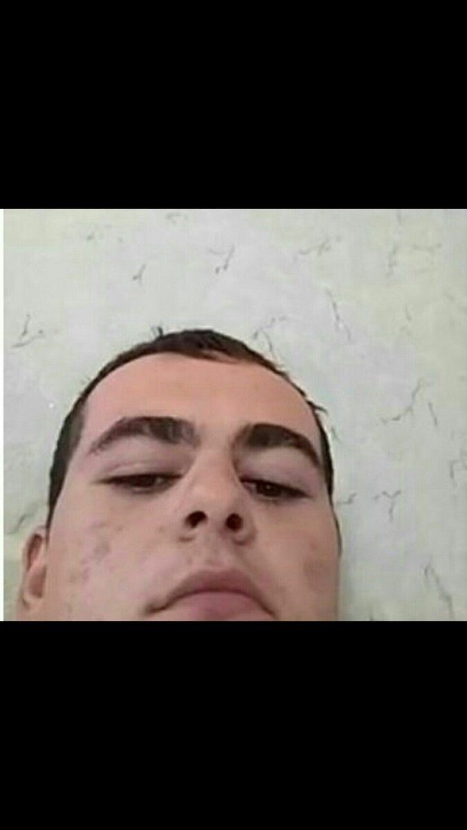  15267446  , 34 ,    