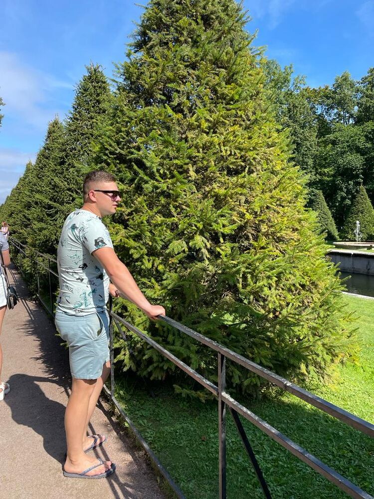  28909326  , 25 ,    -