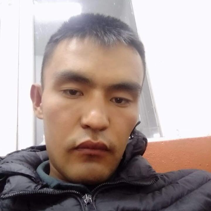  24868566  , 31 ,    -