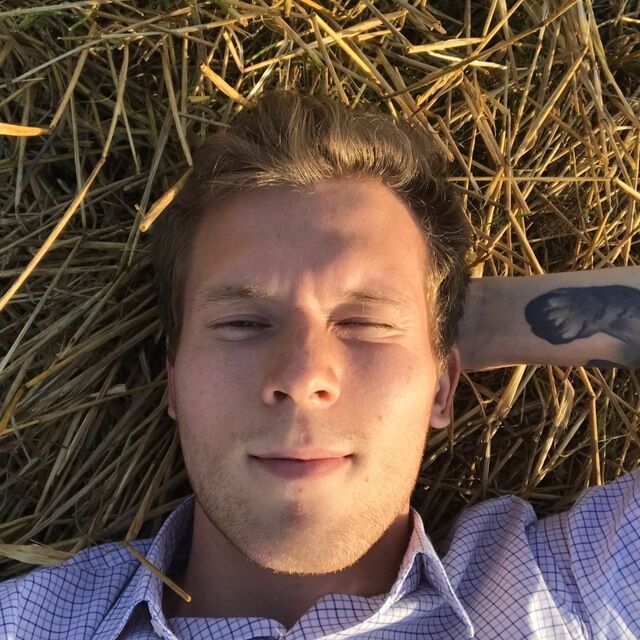 ���� 25372216 ������� ������, 31 ���, ���� ���������� � �������