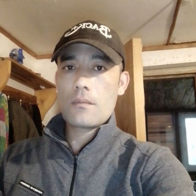  33003836  , 38 ,    