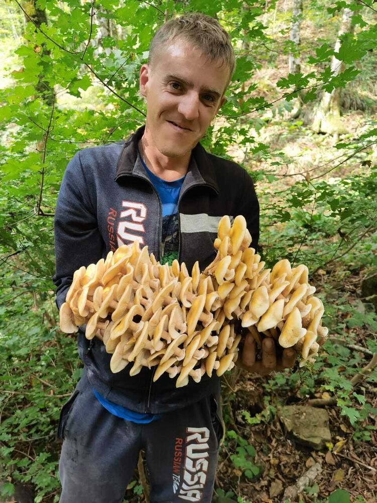 ���������� ������, ���� ������� ���������, 36 ���, ������������ ��� c�������� ���������, ���������