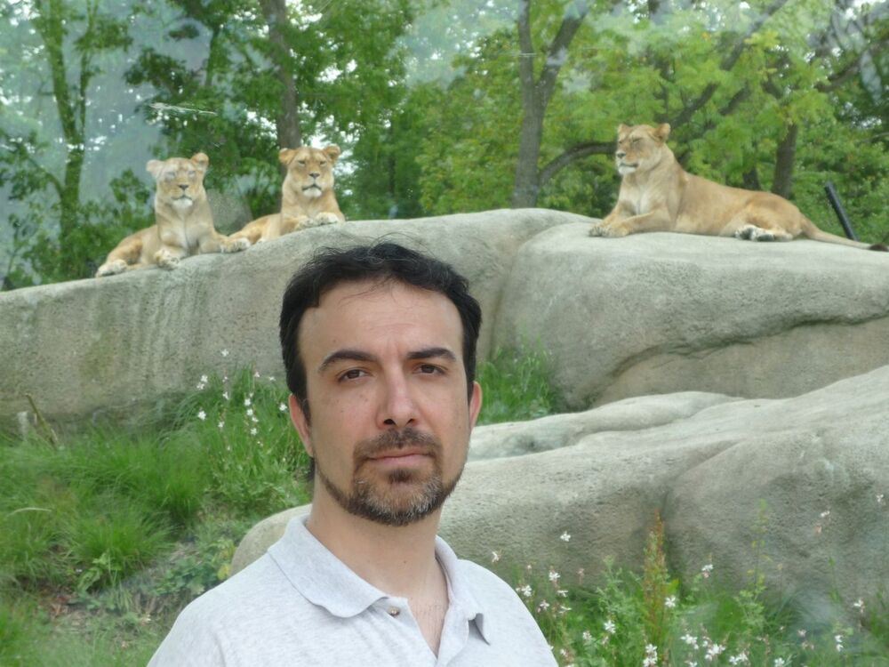  Veliko Turnovo,   Otvorkoto, 52 ,   ,   , c 