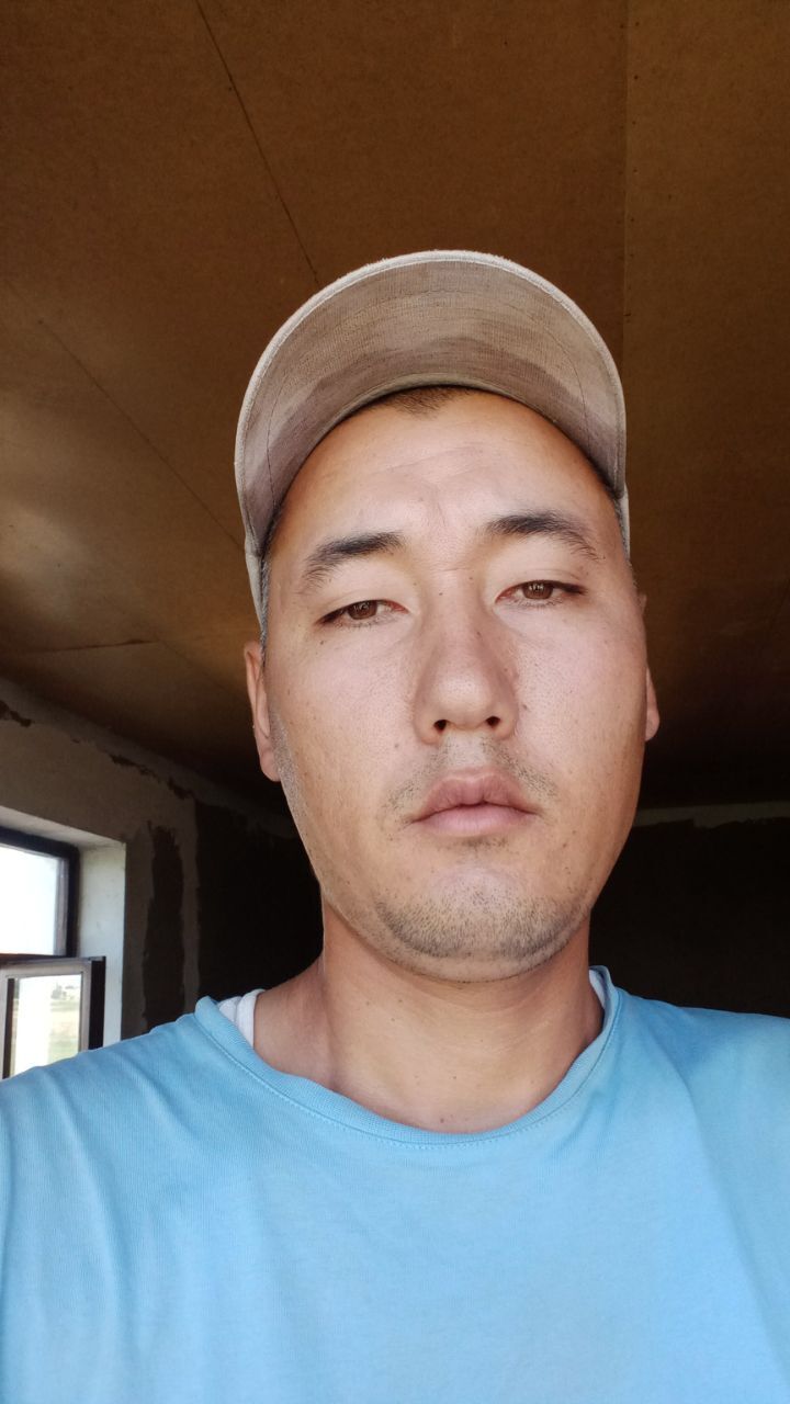  23089126  , 31 ,    