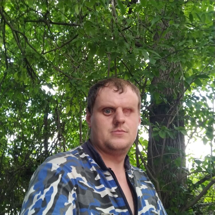 ���� 28870416 ������� �������, 34 ����, ���� ���������� � ����������