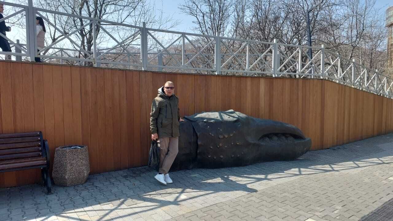 ���� 55453226 ������� �������, 55 ���, ���� ���������� � ��������������-����������