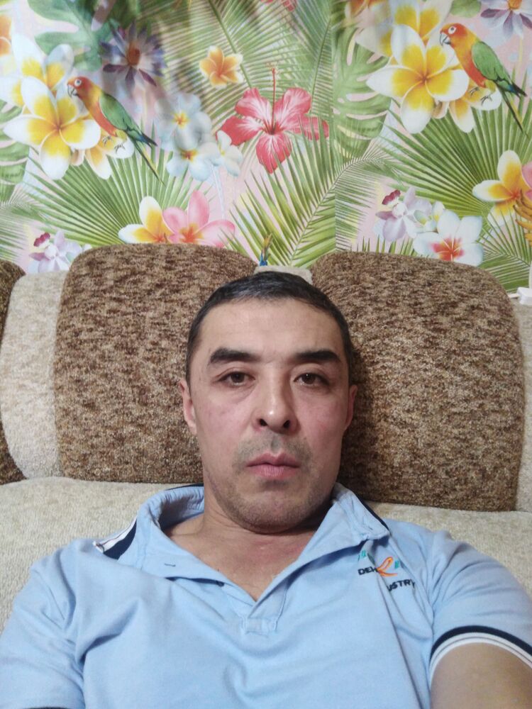  25905886  , 49 ,    
