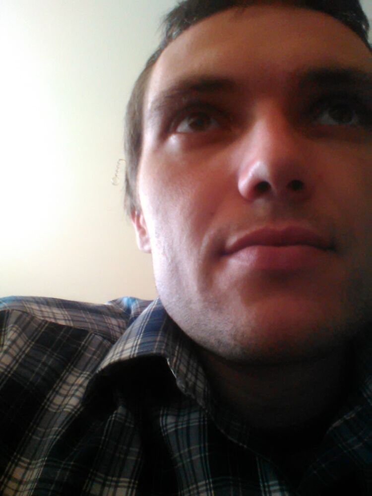  8769246  , 41 ,    -