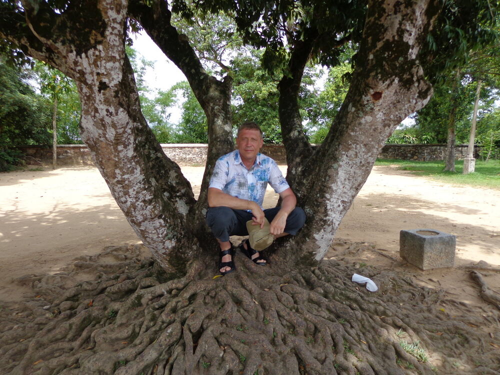  ,   , 51 ,   