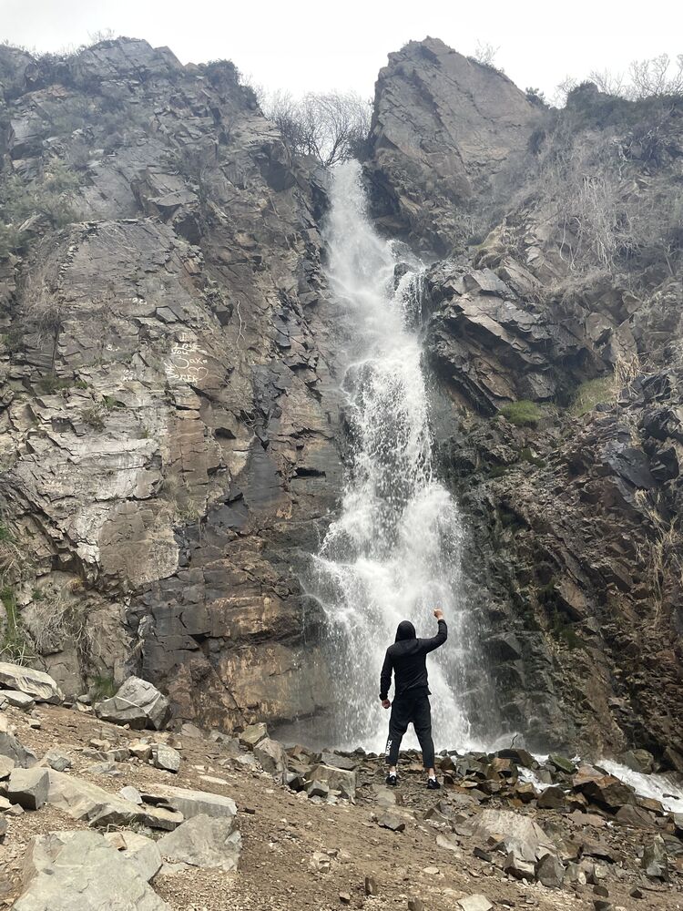 ���� 42981296 ������� ������, 38 ���, ���� ���������� � ������