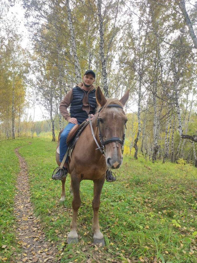 ���������� �����������, ���� ������� ������, 39 ���, ������������ ��� ������, ����� � ���������, ���������