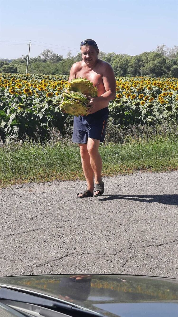  45930316  , 42 ,    