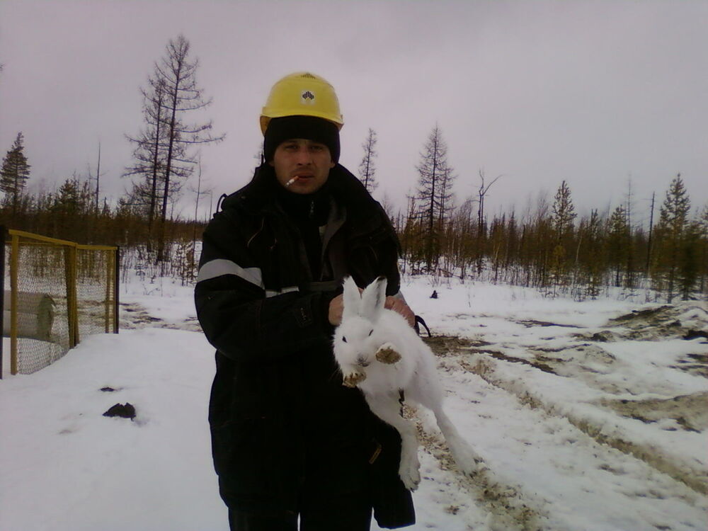 ���� 6215516 ������� ������, 43 ����, ���� ���������� � ������������