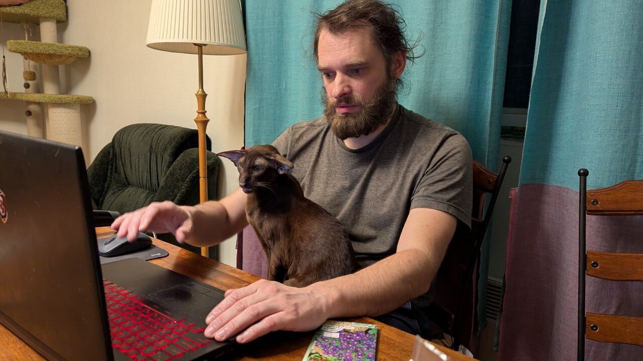 ���������� �����-���������, ���� ������� ������, 40 ���, ������������ ��� ������, ����� � ���������