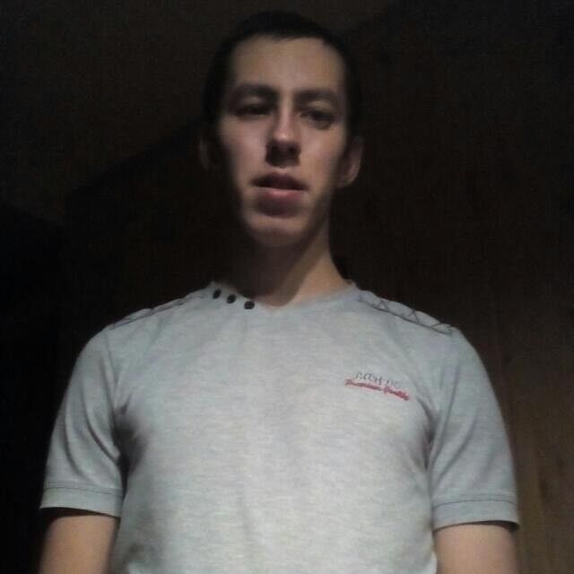  17682516  , 37 ,    
