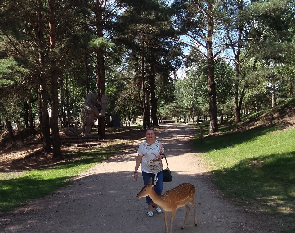  52815176  Elena, 54 ,    