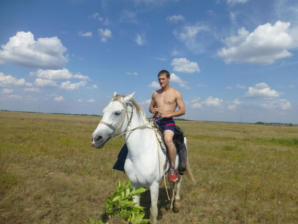 ���� 44335146 ������� �������, 31 ���, ���� ���������� � �����������