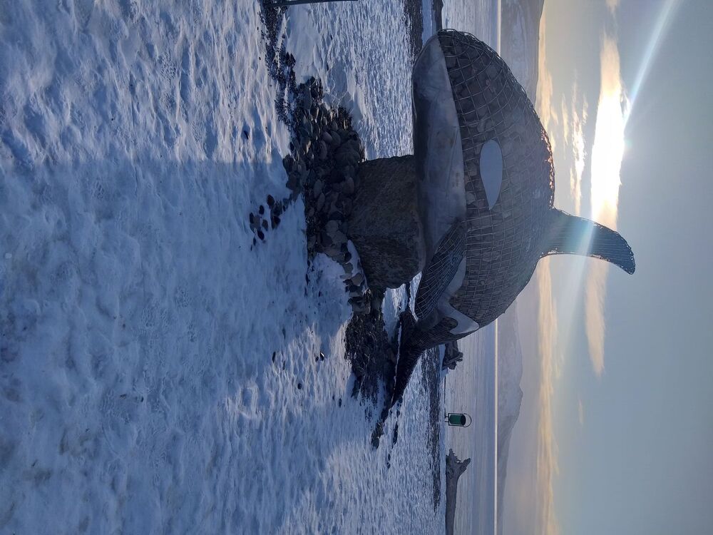  27252246  , 42 ,    