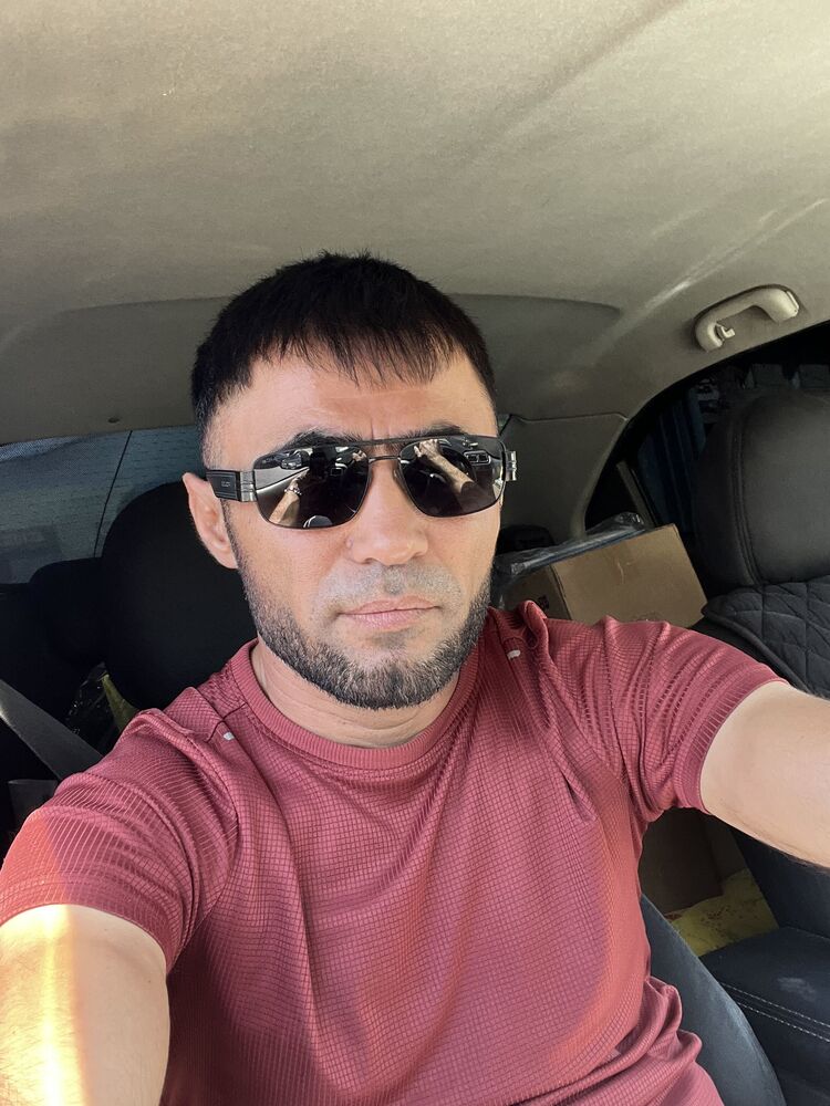  53177146  , 41 ,    