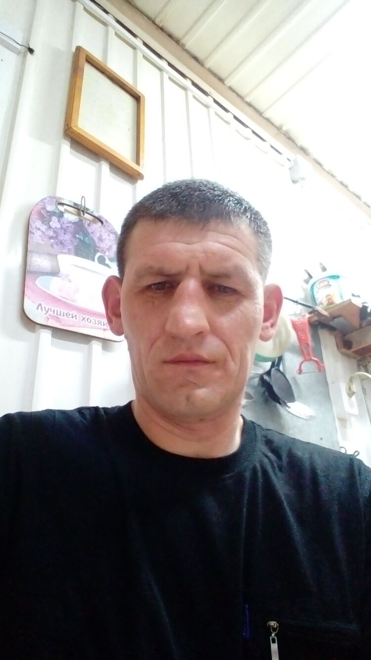  48618706  , 43 ,    