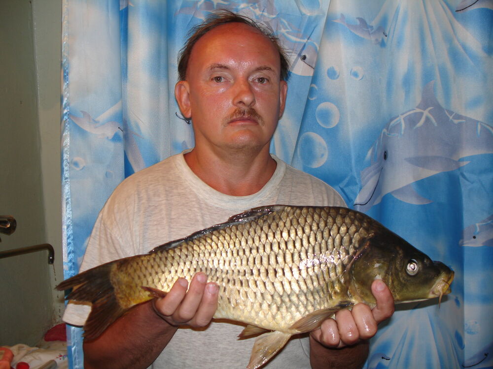 ���������� ������, ���� ������� Strong, 36 ���, ������������ ��� ������, ����� � ���������