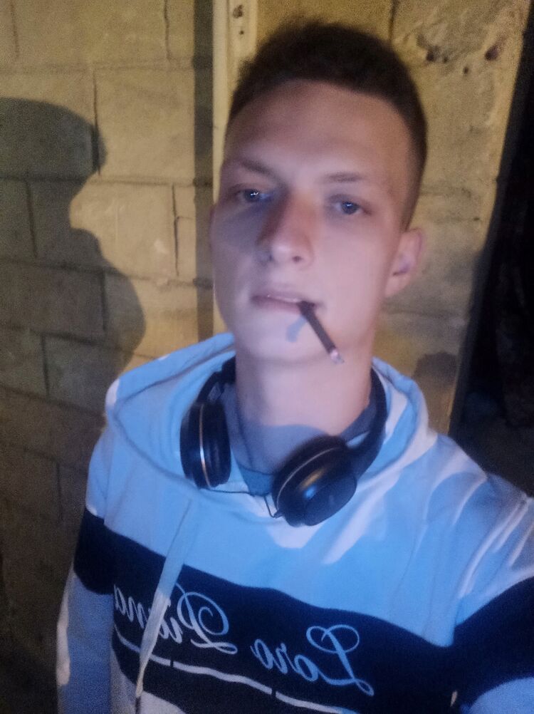  50557186  , 23 ,     