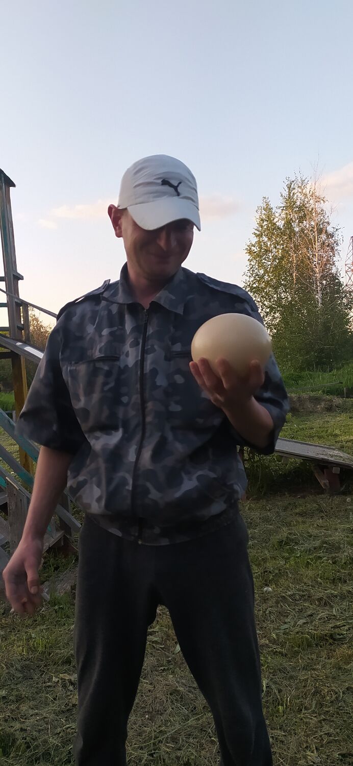 ���� 30680466 ������� ���������, 41 ���, ���� ���������� � �������