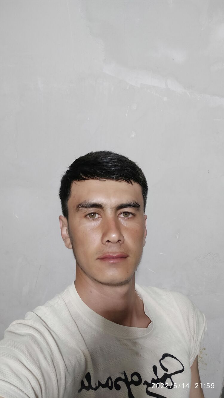 27050086  , 31 ,    