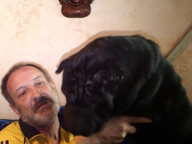  ,   POUL, 65 ,   