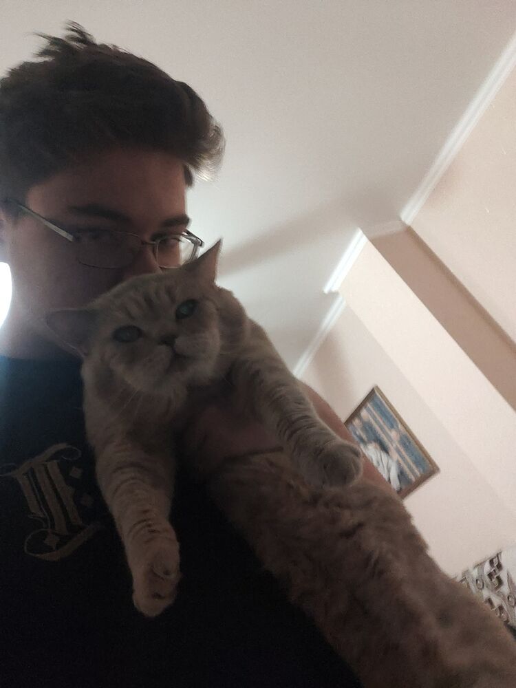 ���� 29767126 ����� �������, 21 ���, ���� ���������� � ���������