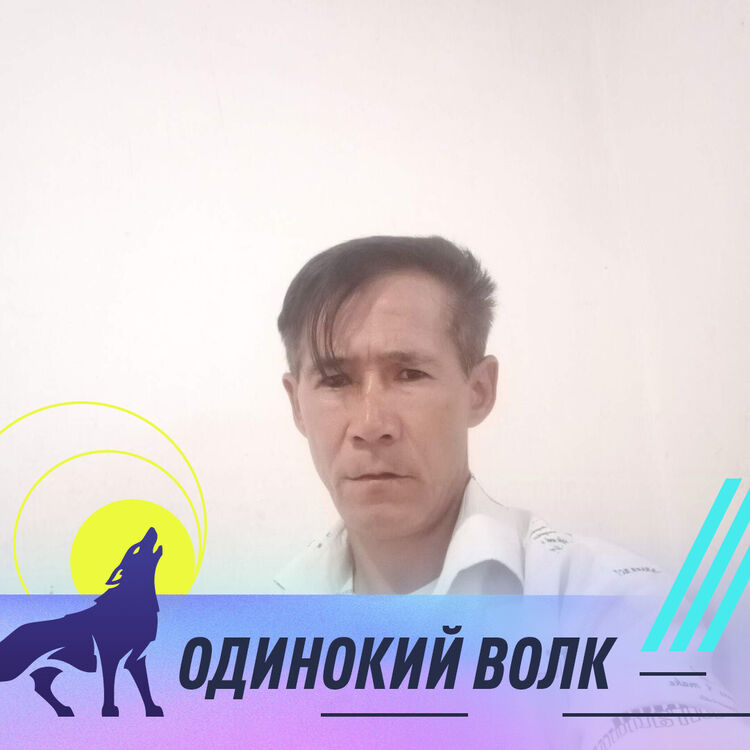 ���� 33066286 ������� �����, 53 ����, ���� ���������� � ����������