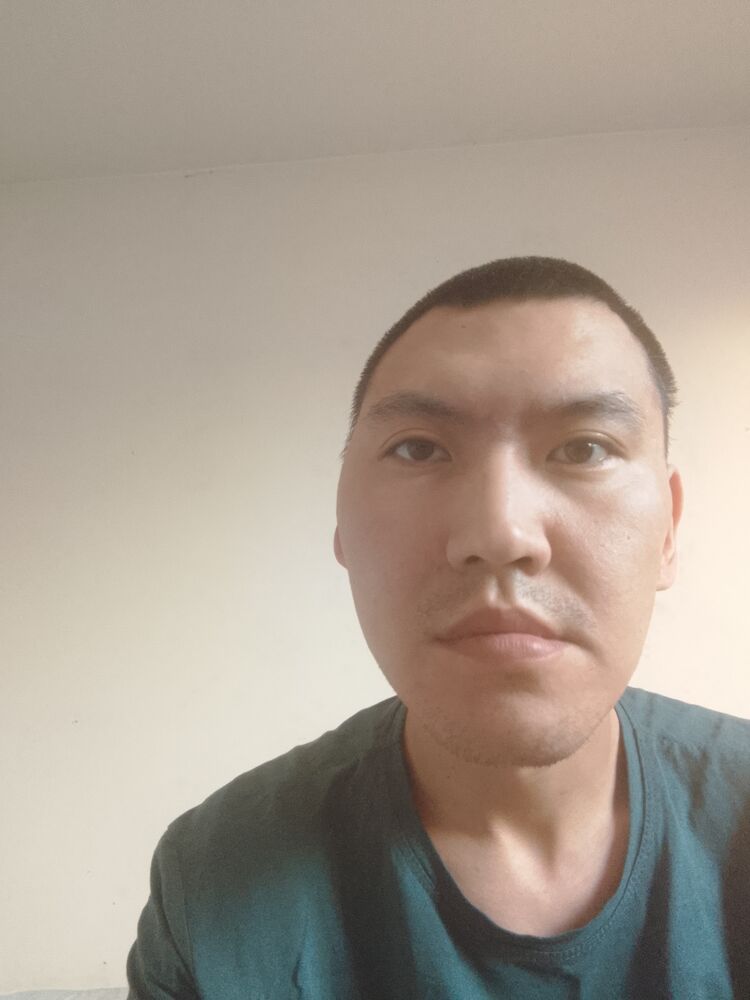  50066536  , 31 ,    