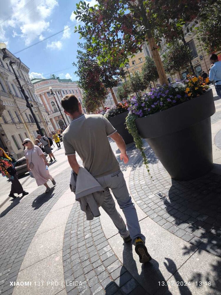  44652076  , 36 ,    -