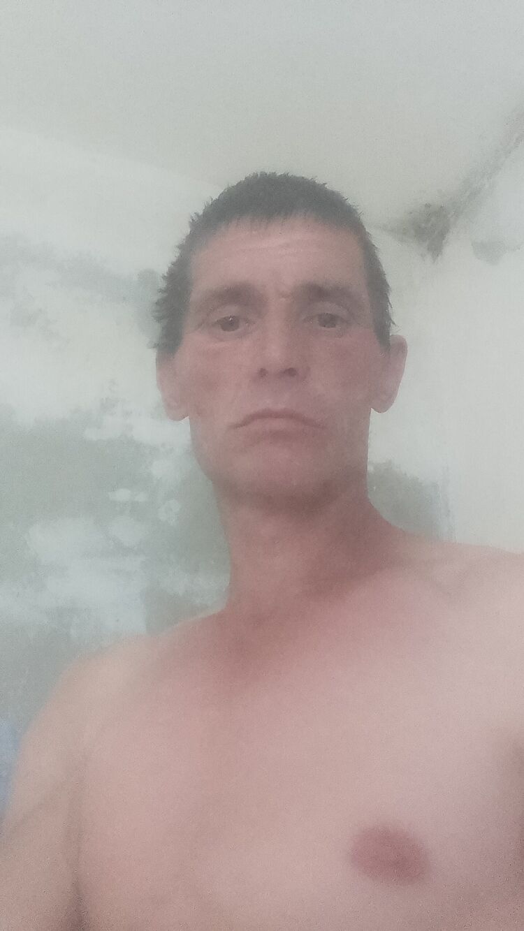  52108556  , 43 ,    