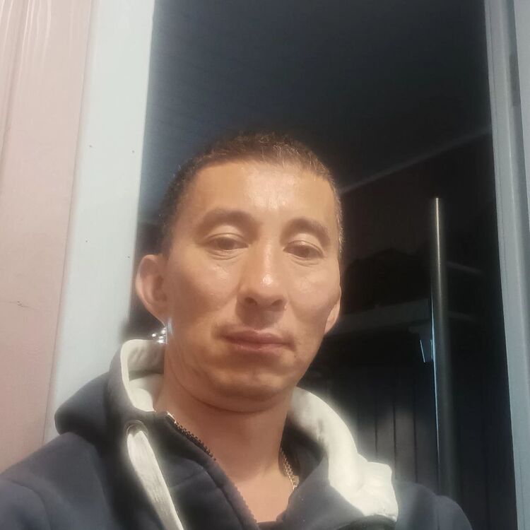  44021666  , 41 ,    