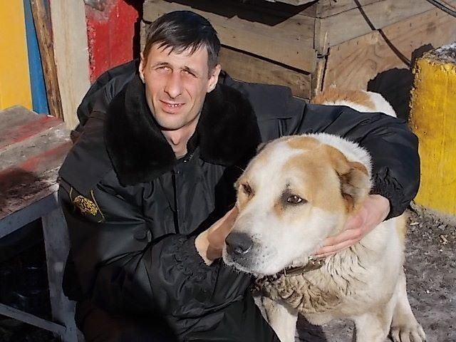 ���� 8288966 ������� ����, 43 ����, ���� ���������� � �����-����������