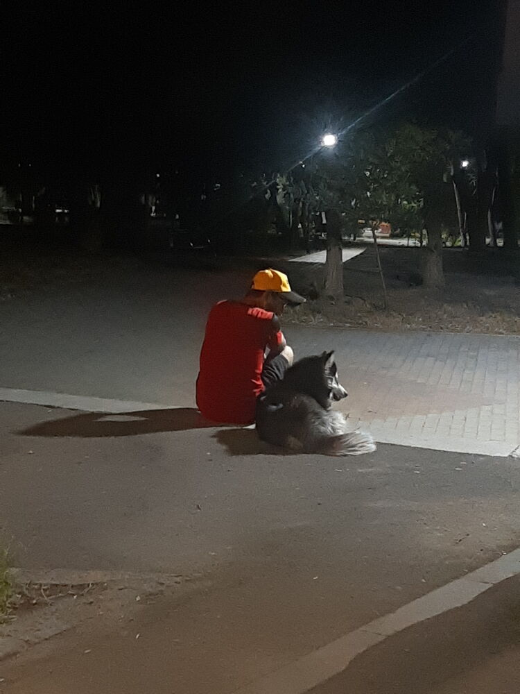 ���������� ������, ���� ������� ����, 41 ���, ������������ ��� ������, ����� � ���������