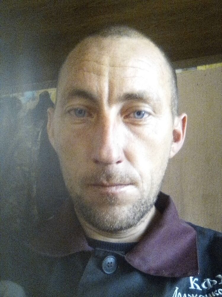  31498826  , 37 ,    