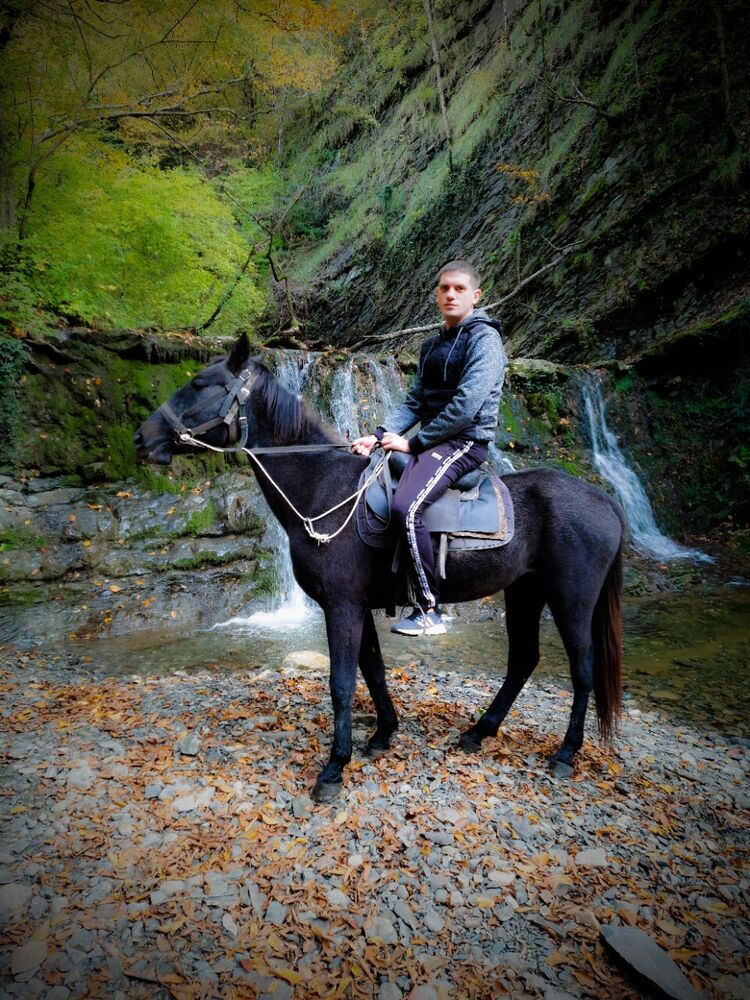 ���������� ������, ���� ������� ���������, 40 ���, ������������ ��� ������, ����� � ���������, c�������� ���������