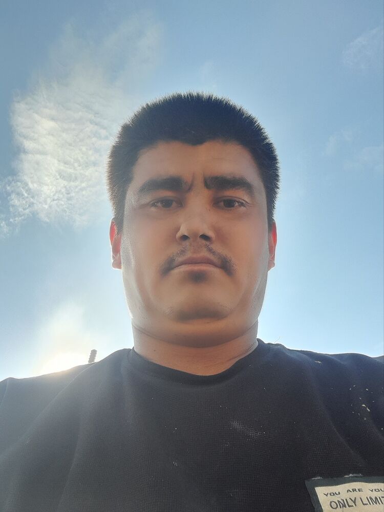  46770466  , 31 ,    