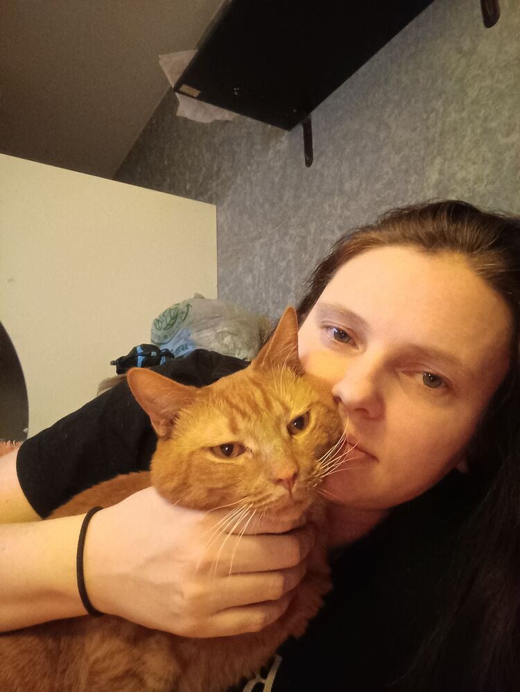 ���������� ����������, ���� ������� ����, 31 ���, ������������ ��� ������, ����� � ���������